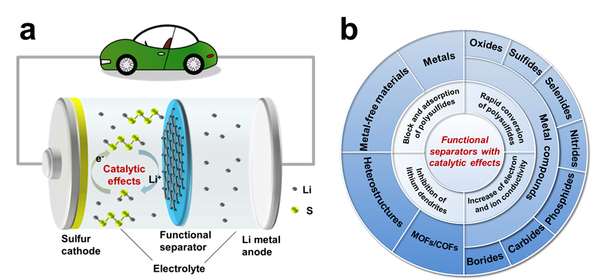 张亮教授&孙学良院士｜具有催化效应的功能性隔膜研究进展