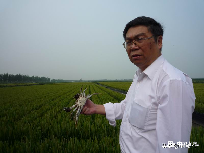 从“谁来养活中国”到“水产养殖业对世界是一个重大贡献”的伟大进步