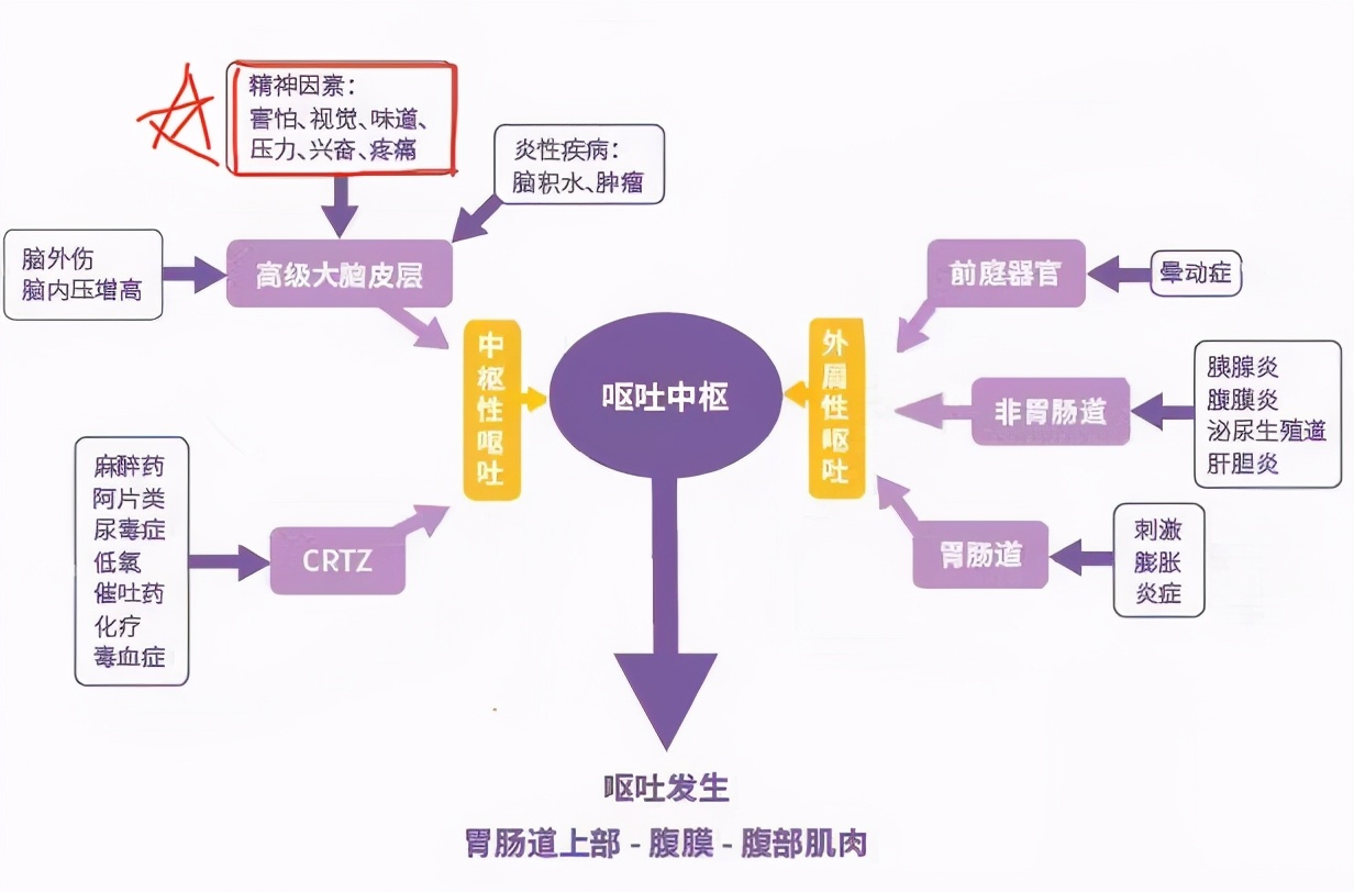 反复呕吐旷课1个月，胃镜结果发现病因，但结果出乎所有人意料