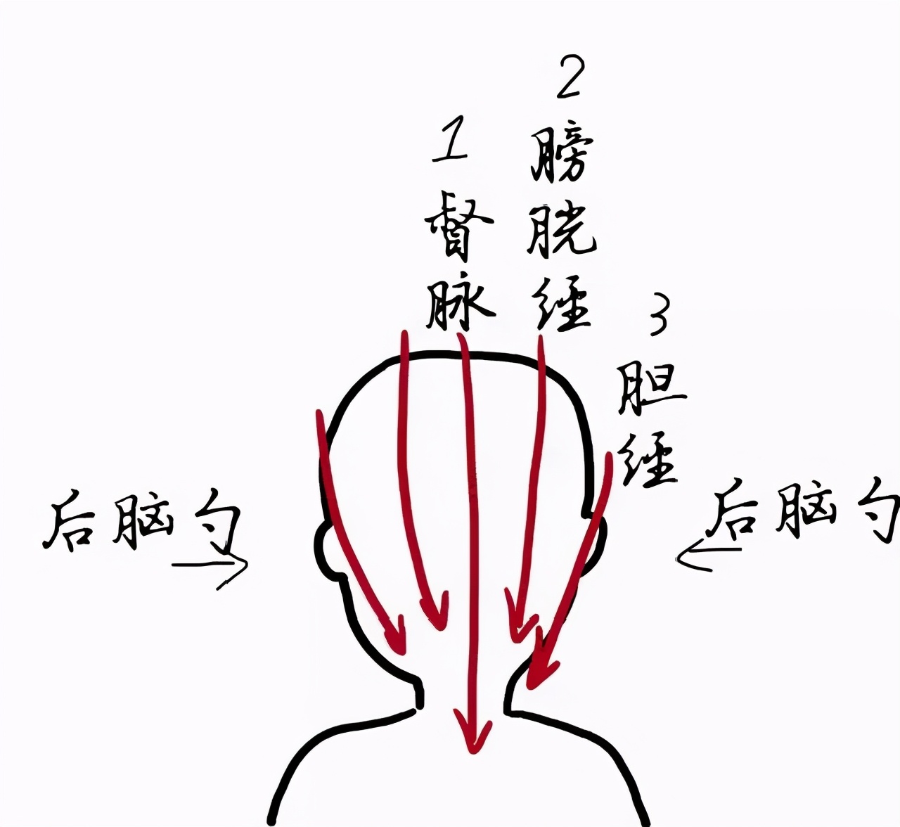 后脑勺疼痛快速缓解方法：头顶痛怎么办？