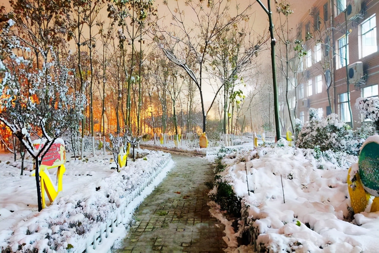 河北百强名校，600分以上达3000多人，本科上线率99.8%，报考