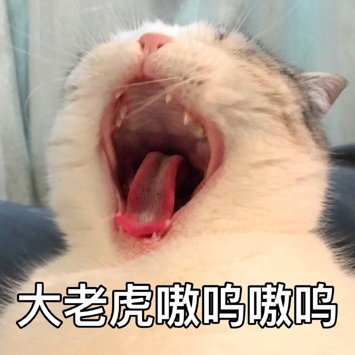 猫咪表情包合集｜大老虎嗷呜嗷呜