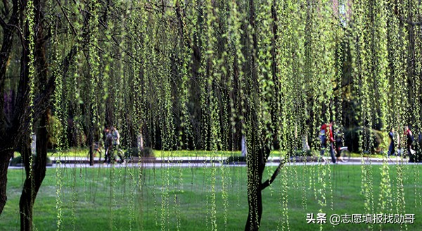 大学新校区“东南飞”成趋势，泄露了哪些秘密？