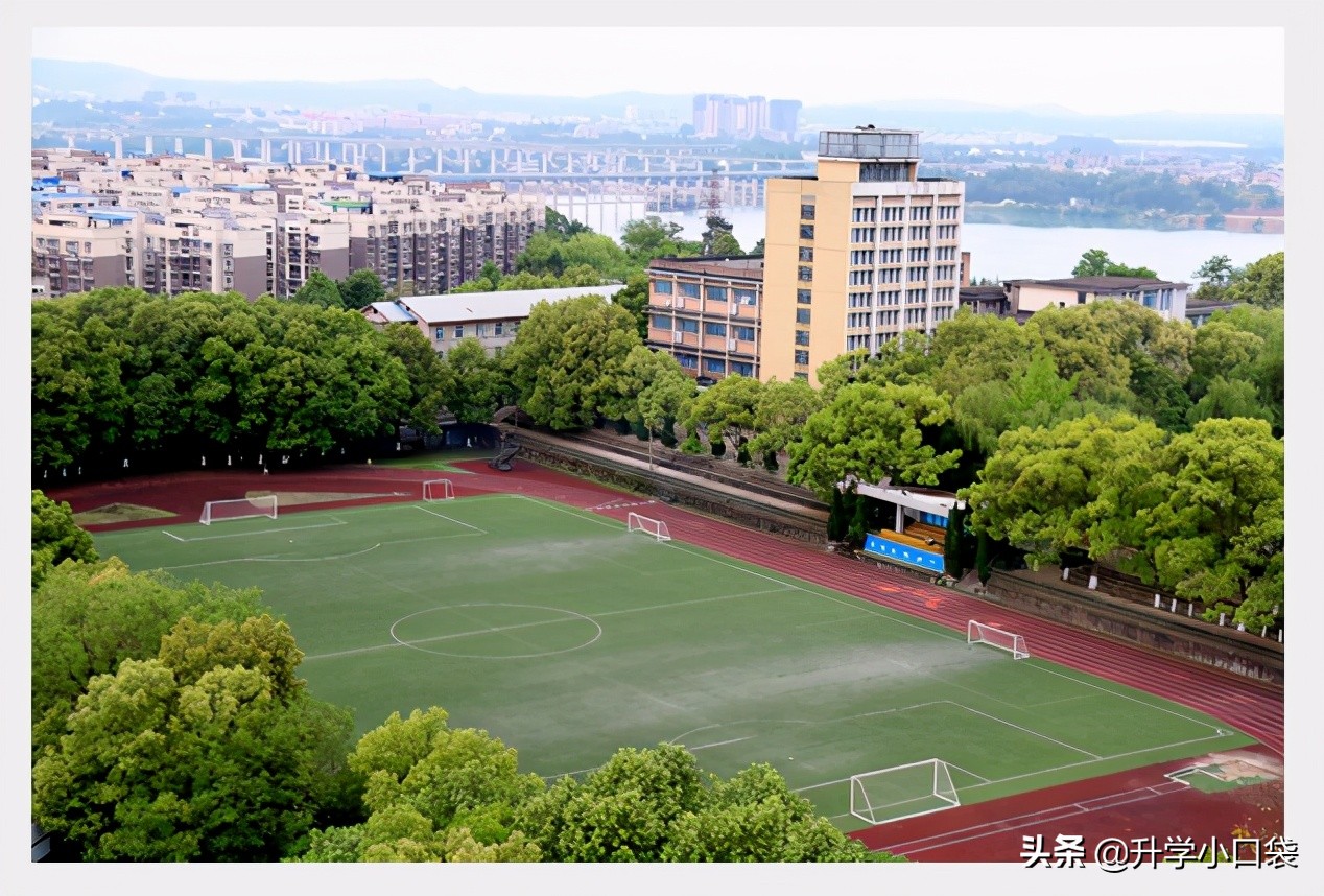 四川这所“双非”高校，拥有A+学科，有保研资格，500多分可报考