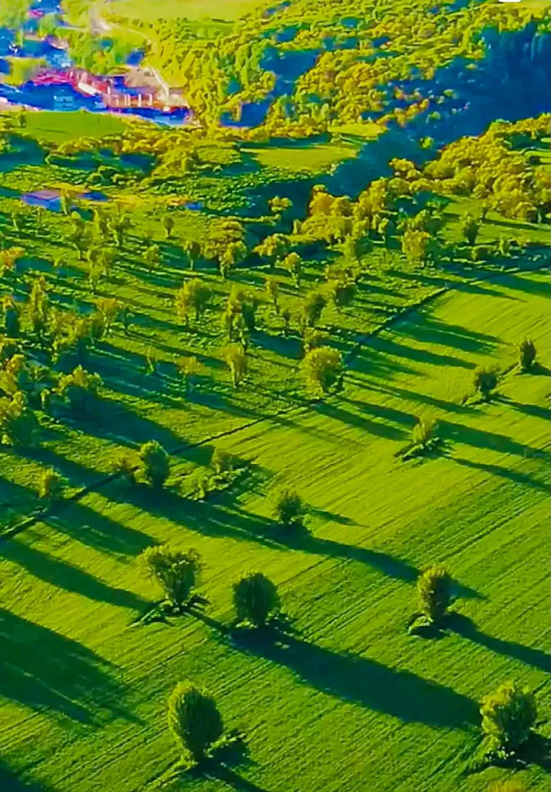 人活得其实是一种心态,心态好心情才能好,过好阳光下的美好人生