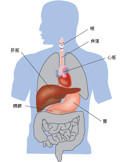 肝弹准确吗？肝病专家详解B超、CT、磁共振等肝硬化的无创检查！