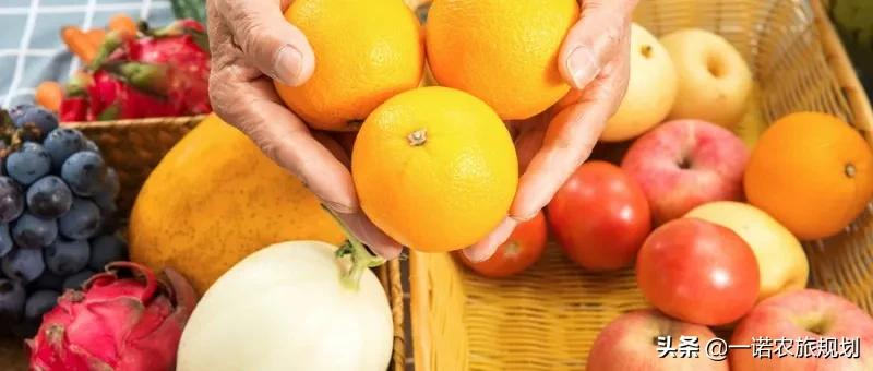 乡村振兴重点突破的23个领域