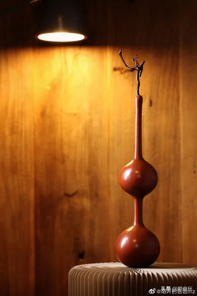 这两类葫芦长相都比较奇特,价格也能卖到成千上万