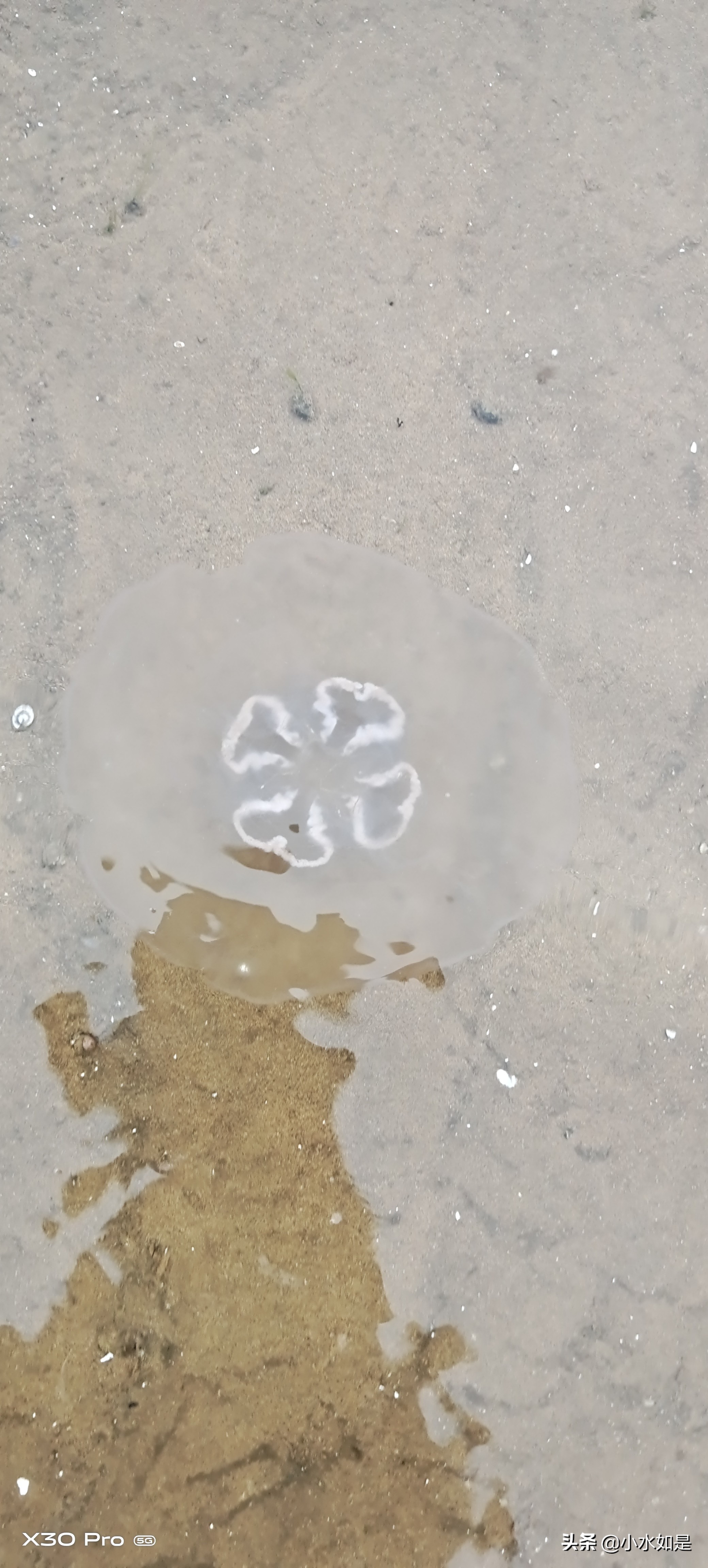 这个暑假，到东戴河去玩海吧！（附个人攻略）