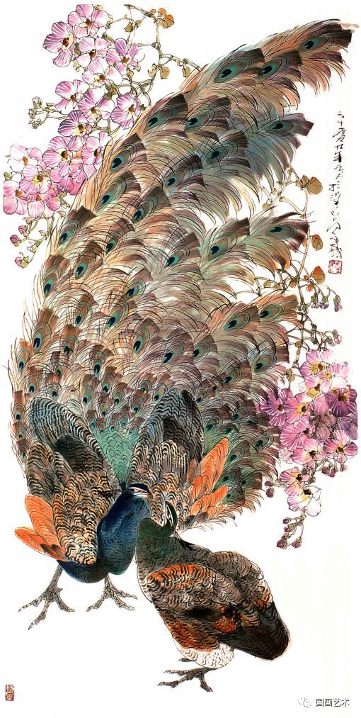 孔雀东南飞！高贵、冷艳的白孔雀