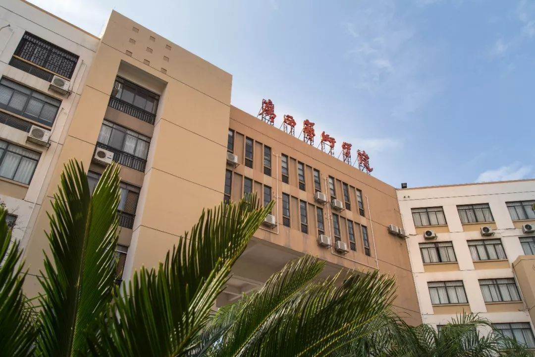 广西艺术学院对文化要求不高，2021年艺术类录取分数线分析