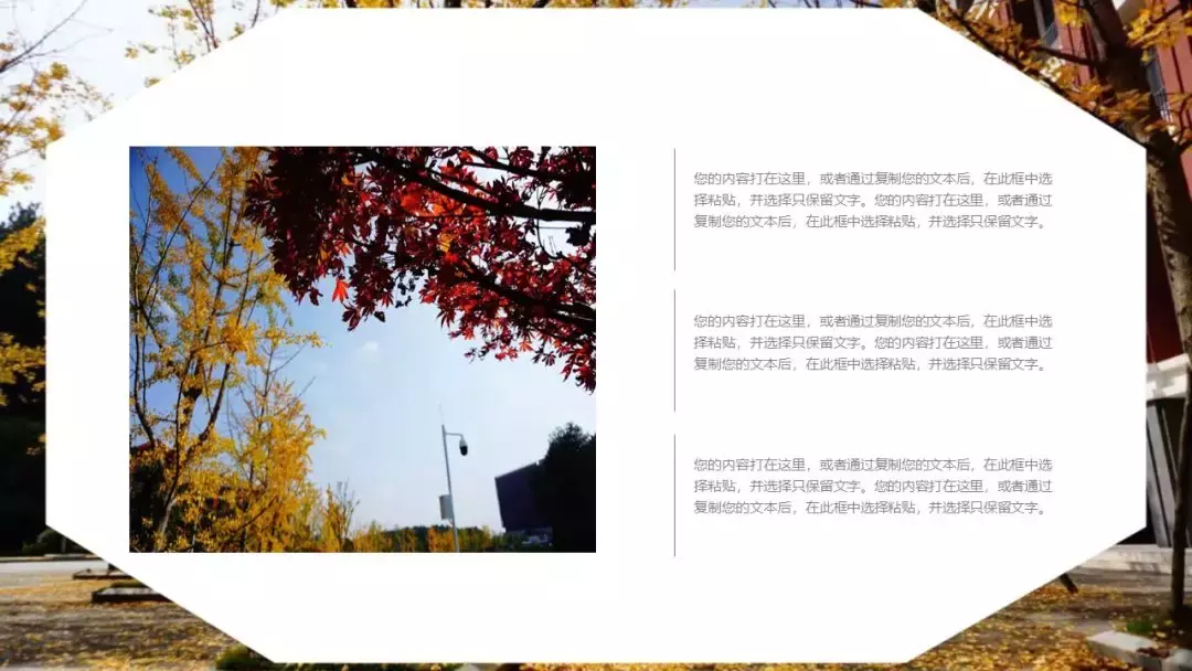 超美的！贵大专属PPT模板来了，陪你走过春夏秋冬！