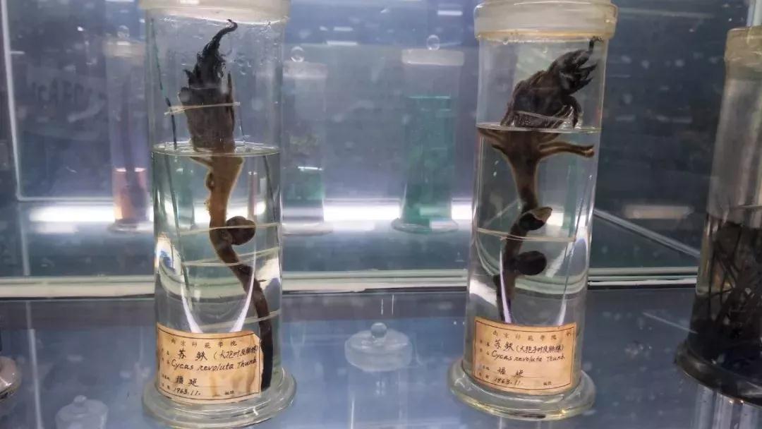 曝光！这些关于南京师范大学的