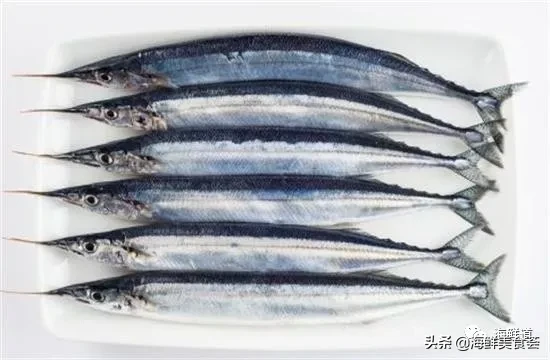 市场常见的102种海鲜，肉质鲜美，营养丰富，你们吃过几种？