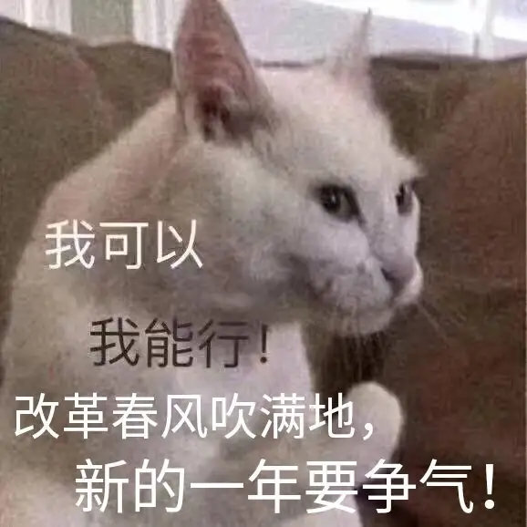 猫咪表情包合集｜老子可爱吗？