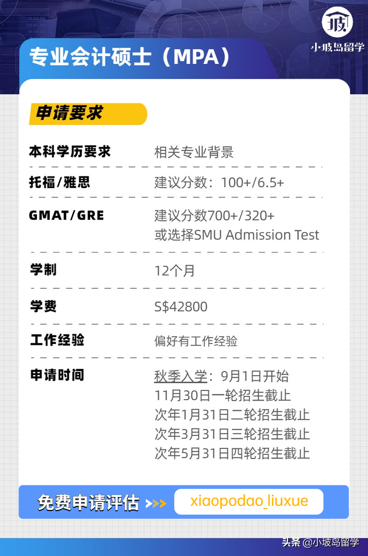 留学申请攻略丨新加坡管理大学会计学院专业有哪些？