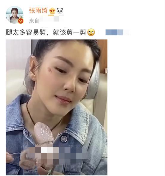 2020年度娱乐圈“渣男现形记”：出轨队+8分，家暴队+5分