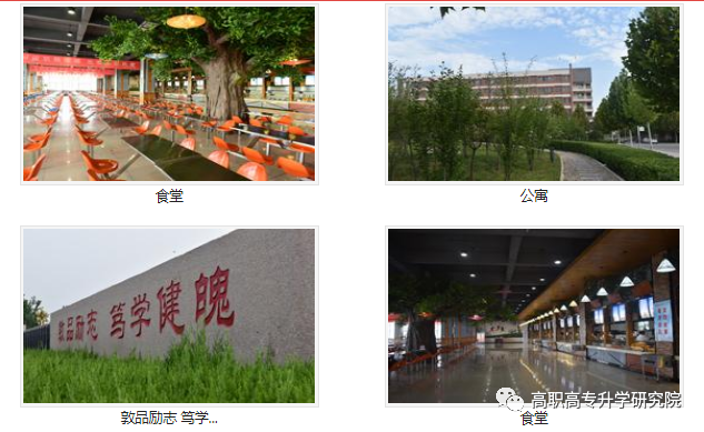 河南护理职业学院