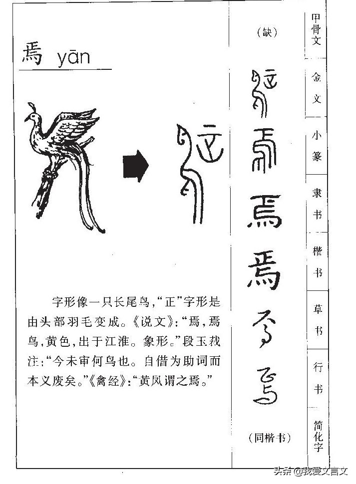 经典文言文赏析 | 南人捕孔雀