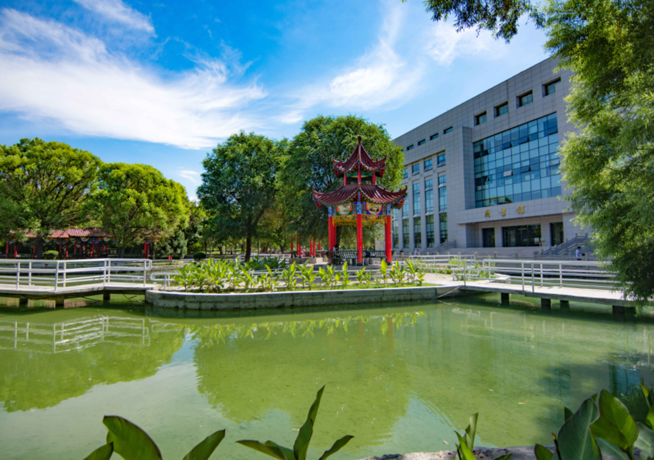 被学生们“所不屑”的211，分数线很低，真的不值得报考吗？