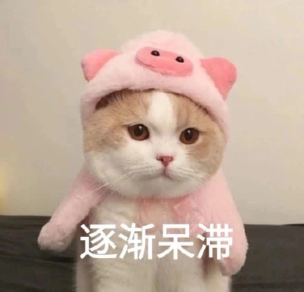 猫咪表情包：我是一个没有感情的杀手