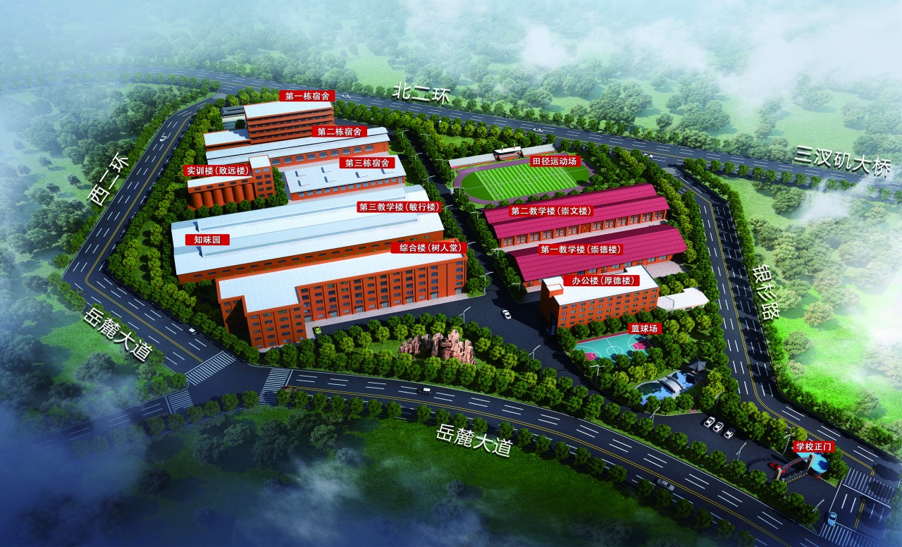 华为天才少年年薪201万背后，家长应该怎么给孩子做选择？