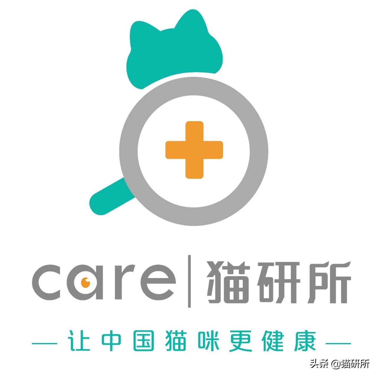 怀疑猫咪有寄生虫，铲屎官如何排查？
