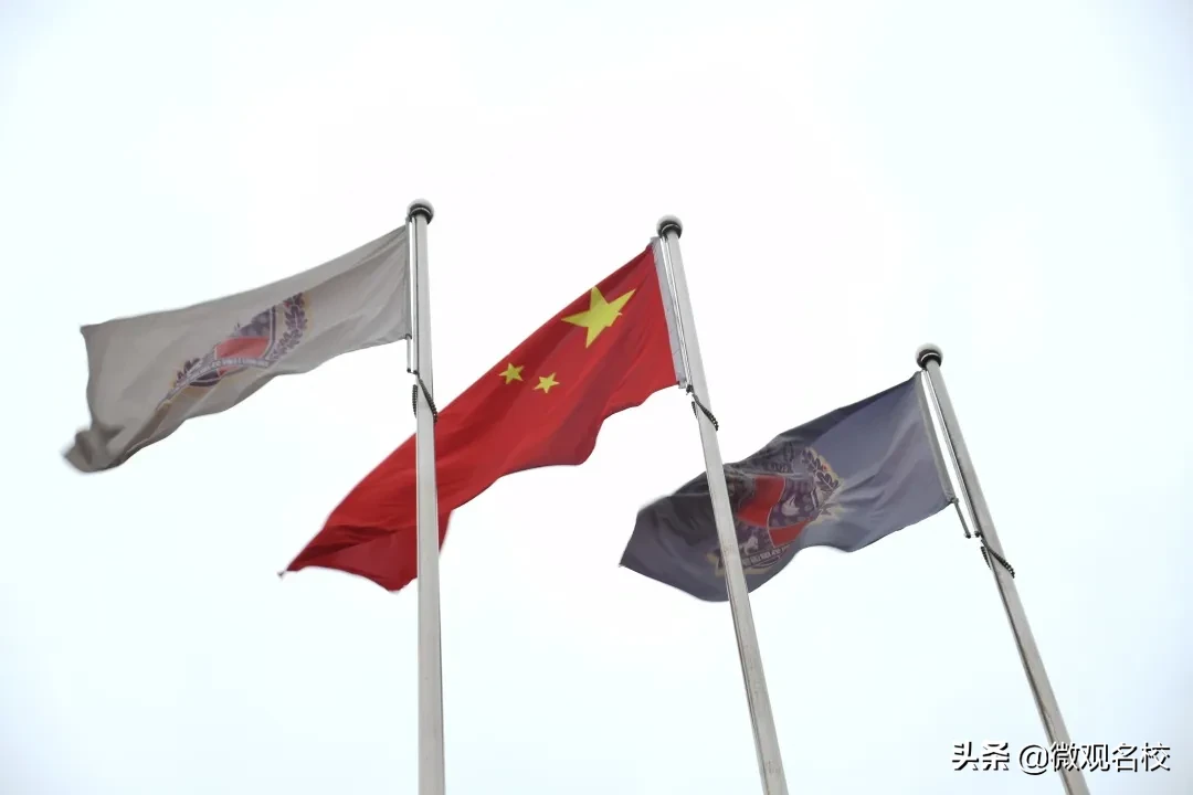 陈宇、何佳庠...这群有共同情怀的人铸就了成川外的“定海神棒”