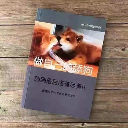 书籍表情包图片合集｜快速养猪致富