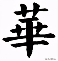越原始，越深刻 – 重新理解汉字本义 │ 物“华”天宝
