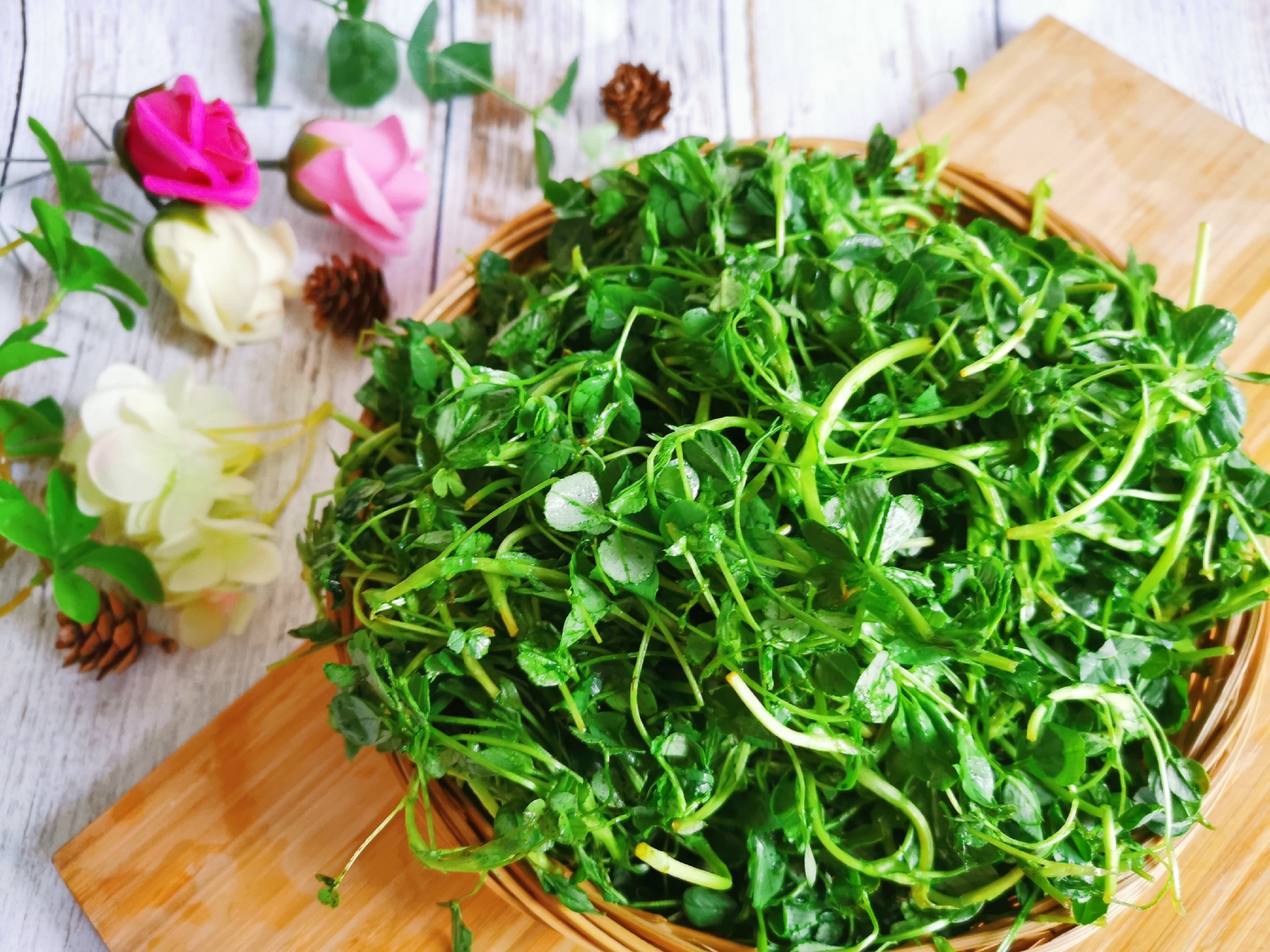 苜蓿芽的功效与作用(疫情过后春光大好) - 行就行