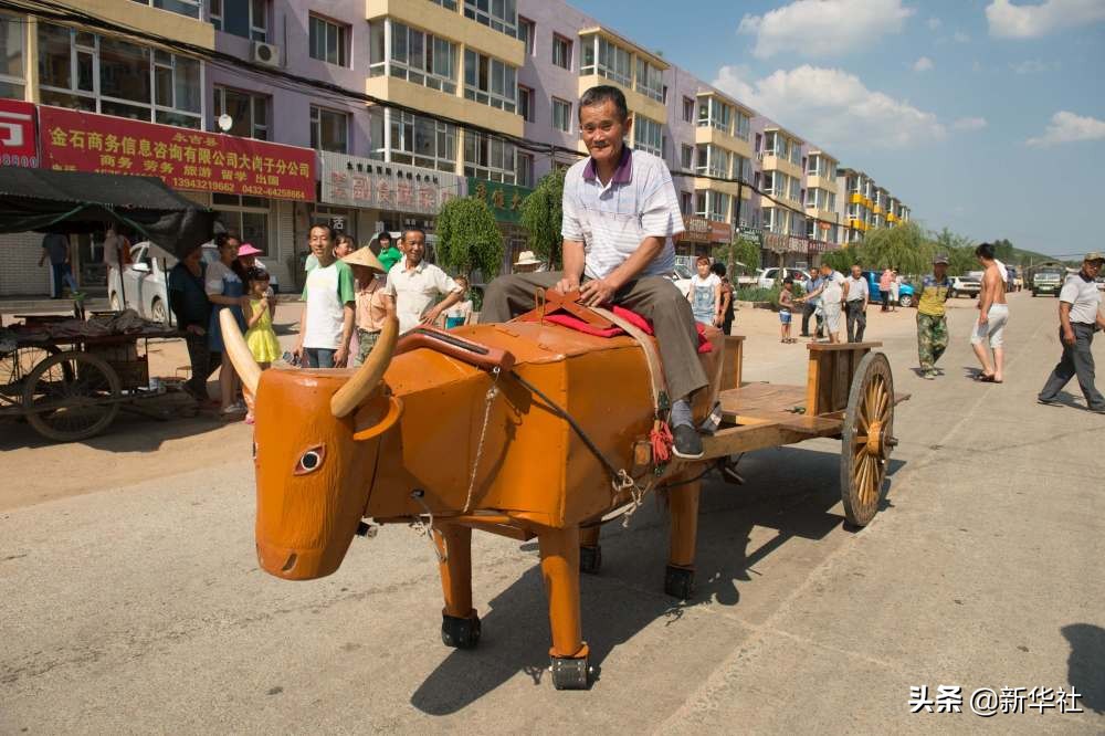 牛为什么这么牛？看完你就懂了