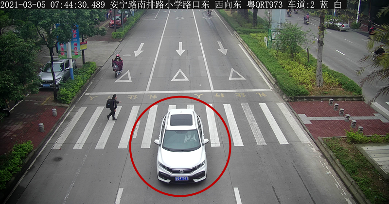 交通违法曝光！