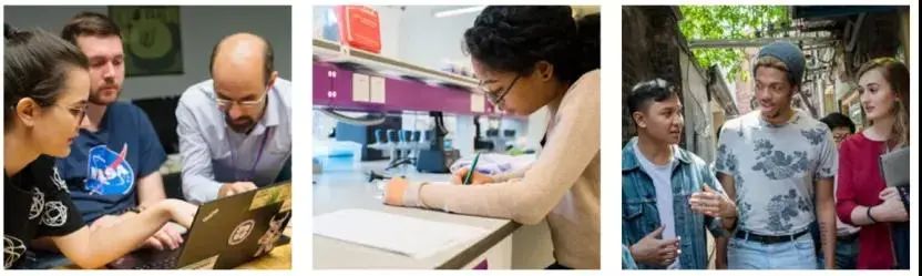 全国招生251人！申请上海纽约大学，看这一篇就够了