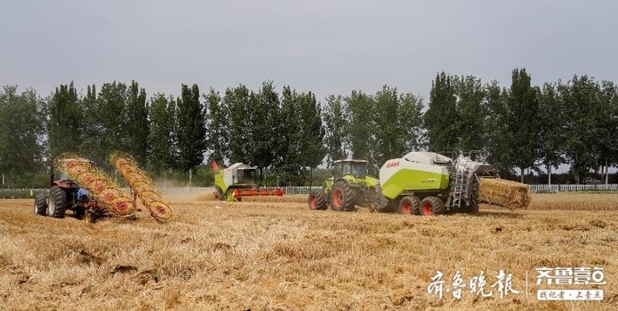 東營(yíng)市麥?zhǔn)占荆骸颁撹F俠”下地，助力“三夏”生產(chǎn)，收、種、管一氣呵成