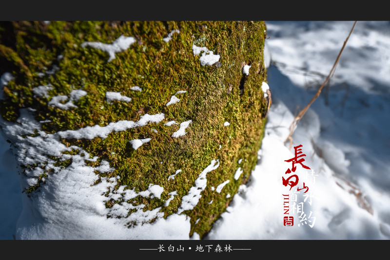 冰雪总动员，玩转长白山：一山一水，体验“世界级”冰火两重天