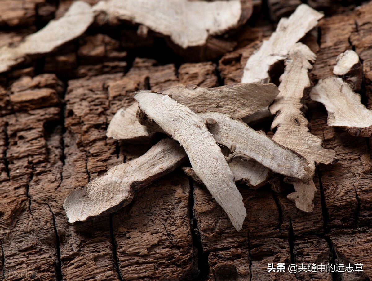 阴阳两虚，脾肾不足？一剂还少丹，阴阳双补，补脾益肾，交通心肾