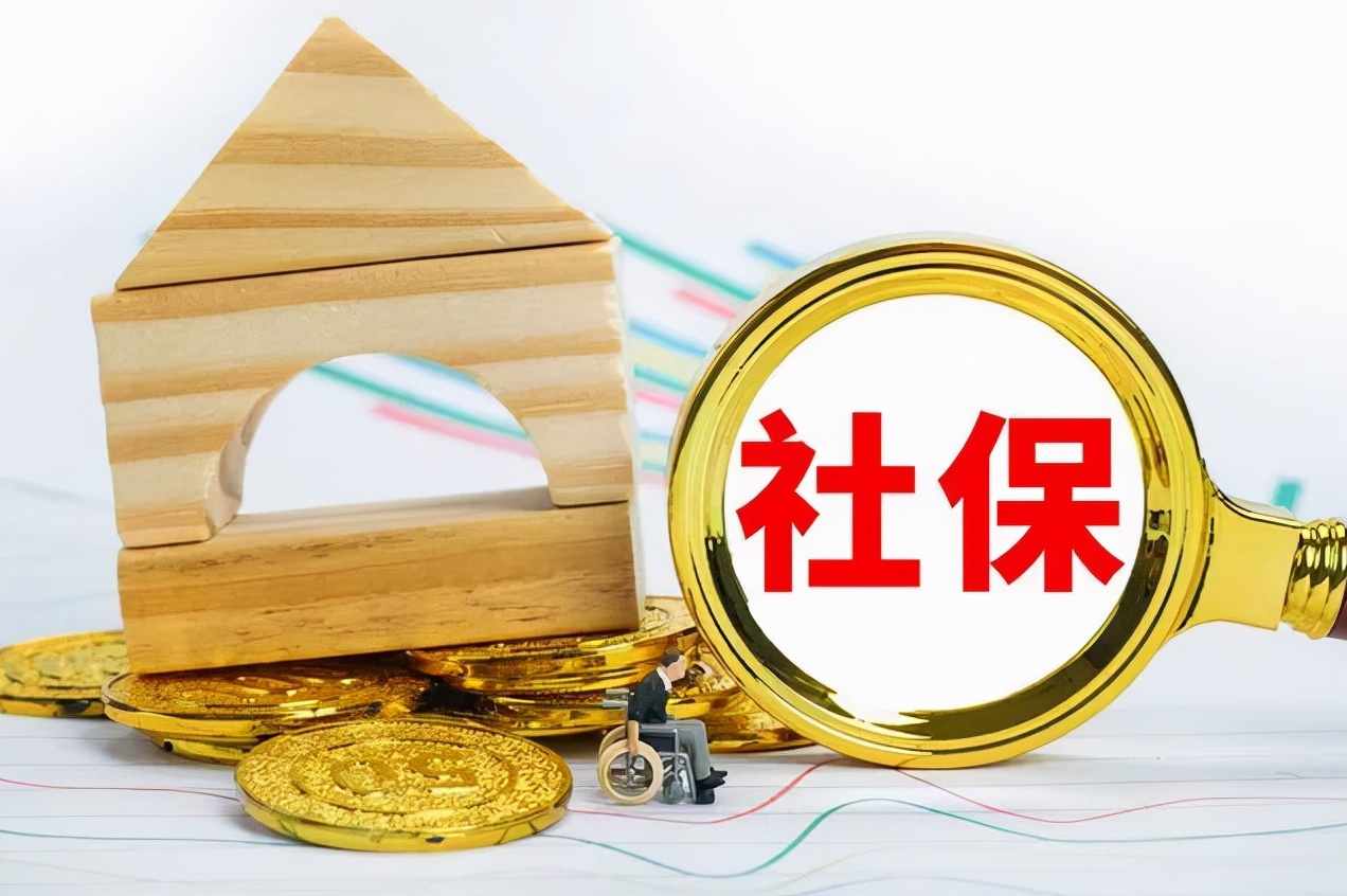 交了社保为什么查询不到缴费记录(为什么我的社保查不到缴费记录)