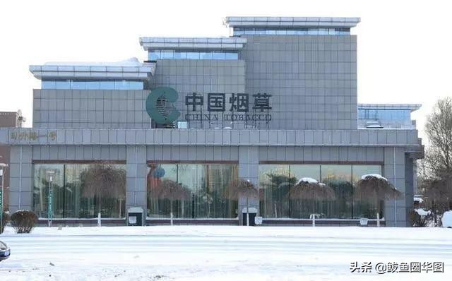 （说到福利，就不得不提这些国企啦！） 电网、中石油、中国移动…哪个不是让人羡慕的香饽饽？