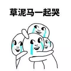 【爆笑吐槽】招投标的苦，谁能懂？