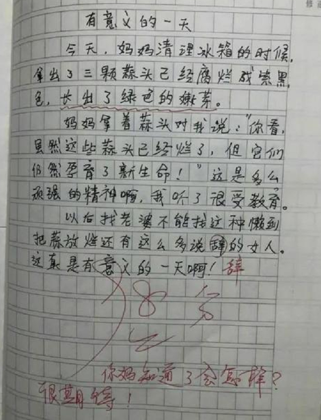 一组小学生满分作文图片火了,思维清奇脑洞大开,老师都自愧不如