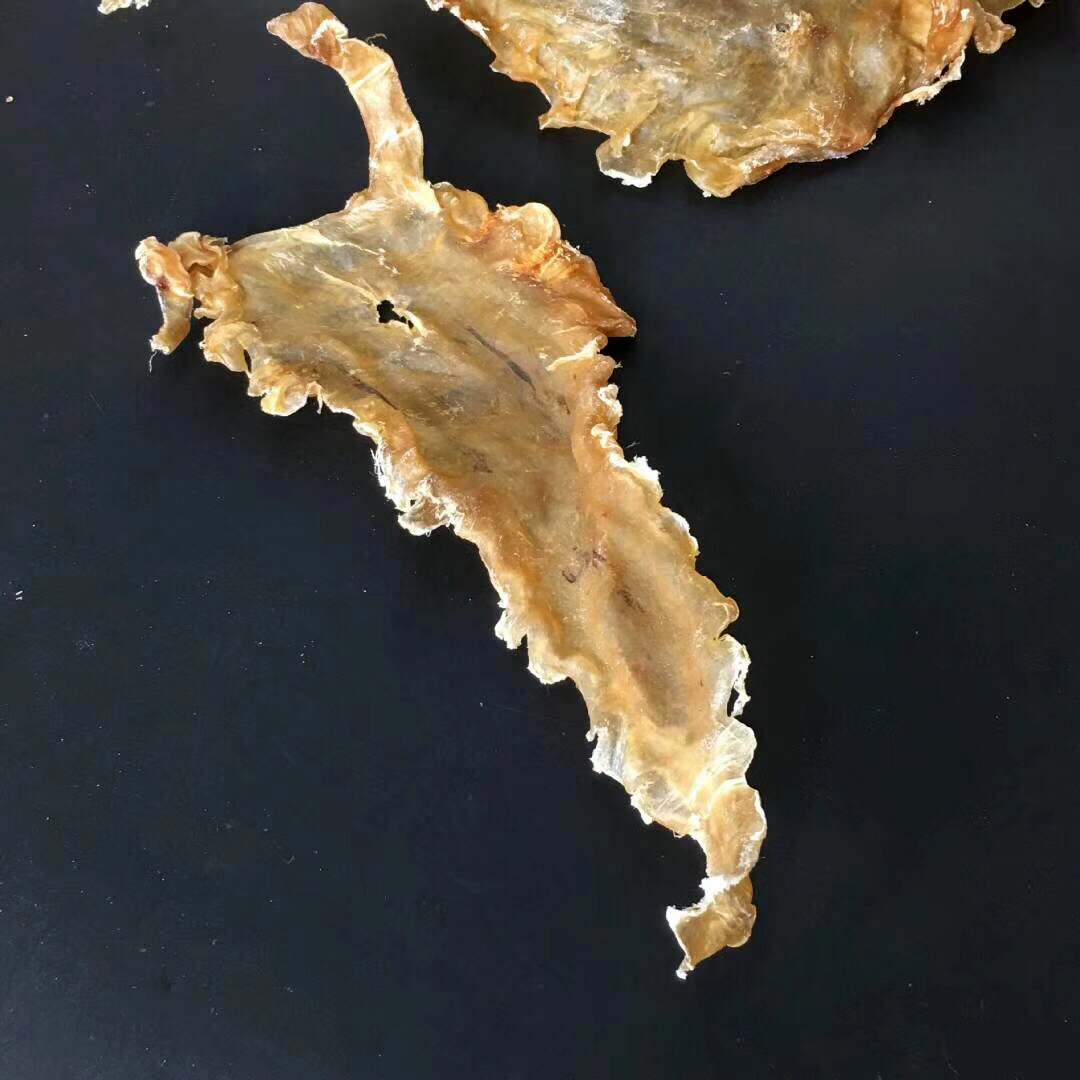 花胶也不都是贵的:说说那些吃一碗倒一碗都不心疼的"菜胶"