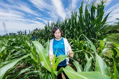 1977年第一批高考状元，现在过得怎么样？他如今成为了亿万富豪