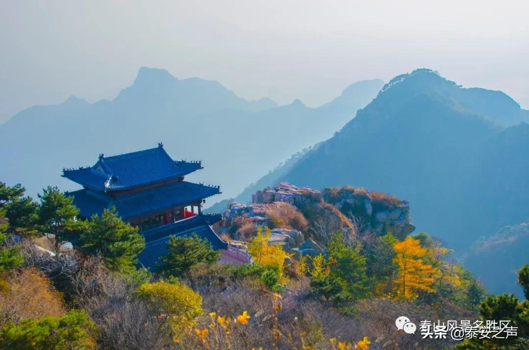 深秋泰山：一年好景君须记，最是橙黄橘绿时