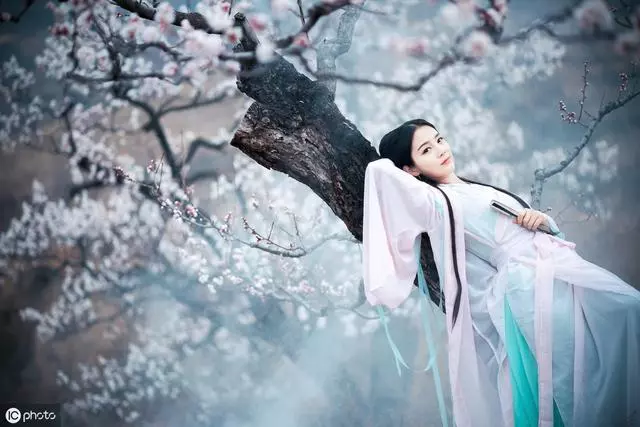 大文豪苏轼诗词集，每一首都是经典！