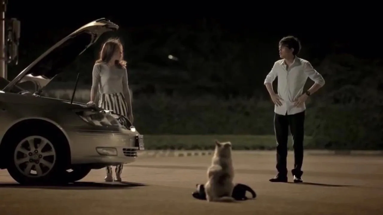 泰国暖心短篇电影：一只狗拉丝的爱情故事