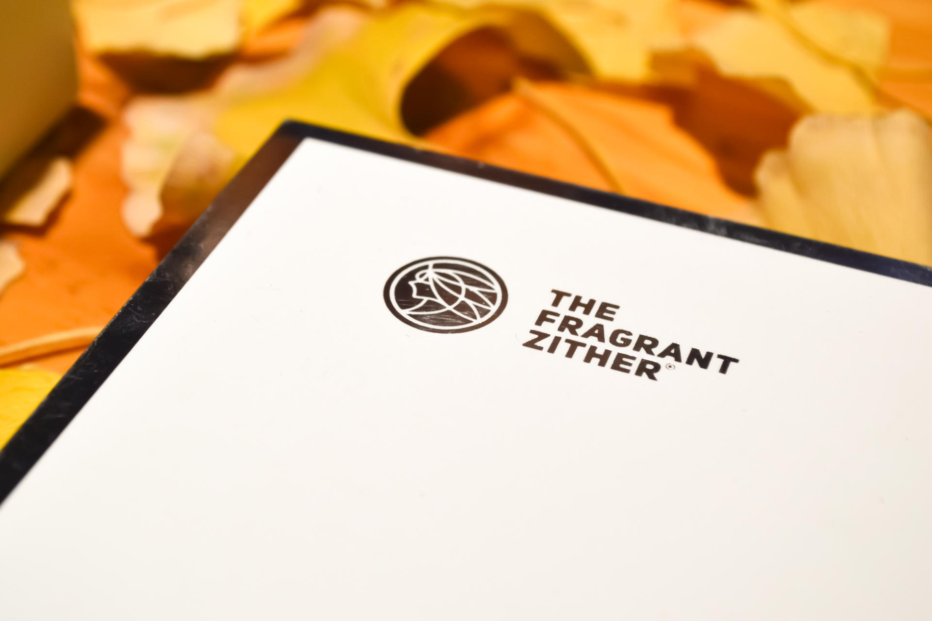 入耳心动 锦瑟香也TFZ T2 PRO 发烧友化身运动健儿