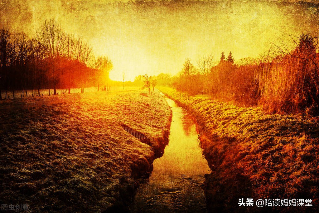 初中语文八年级上册必背28篇现代文经典句子陪读指南