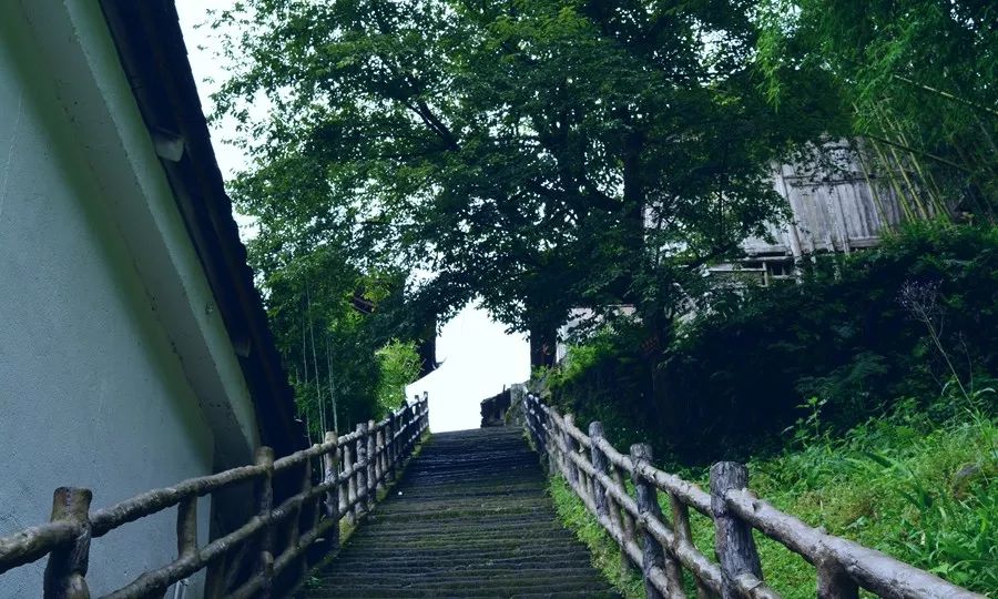 游山玩水好风光！四川适合全家出动的3日游攻略，去几次都不腻