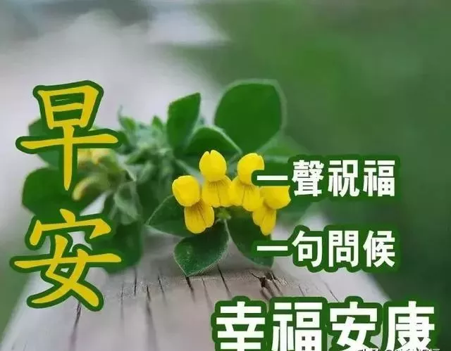 只有承担起旅途风雨，才能最终守得住彩虹满天，早安